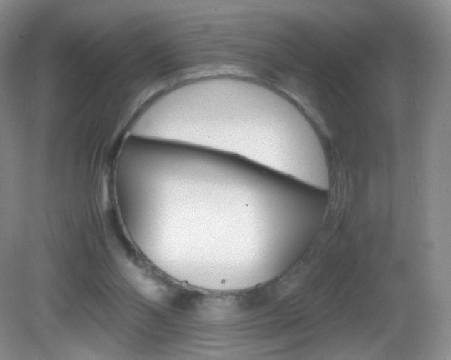 X0000082940110200702011122