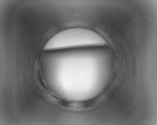 X0000082940117200702011122
