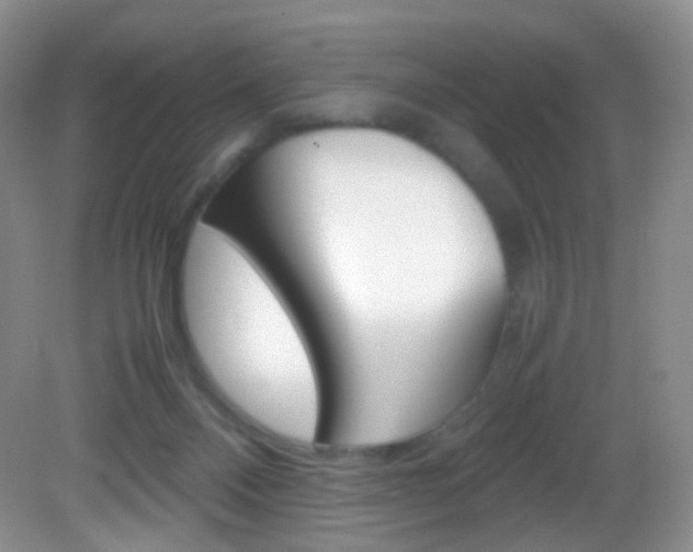 X0000082940120200702011122