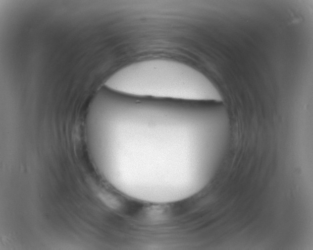 X0000082940126200702011122