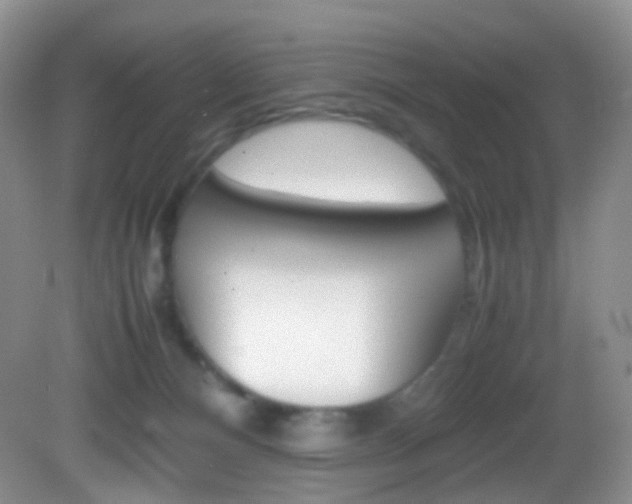 X0000082940128200702011122