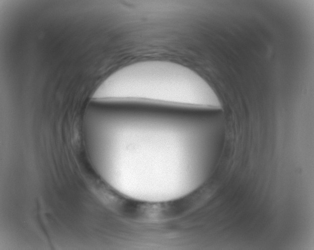 X0000082940131200702011122
