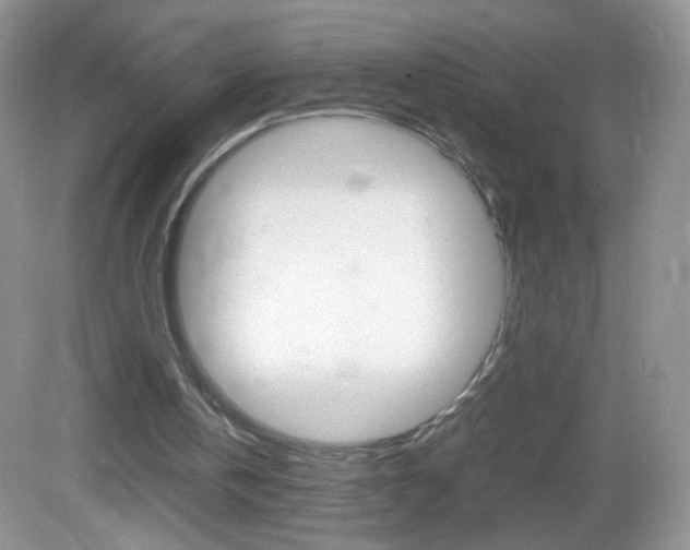 X0000082940146200702011121