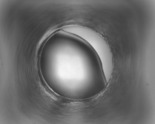 X0000082940150200702011121