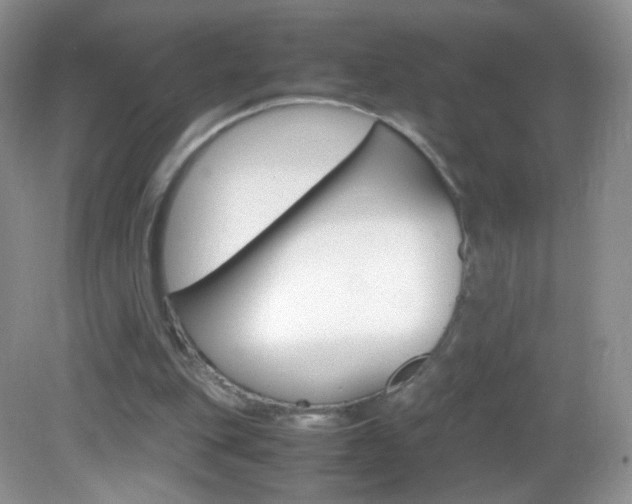 X0000082940151200702011121