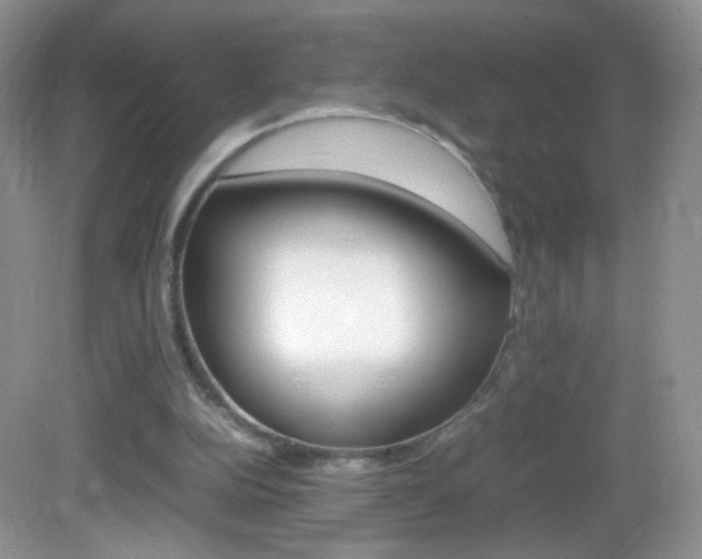 X0000082940152200702011121