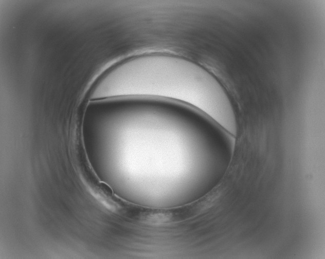X0000082940156200702011121