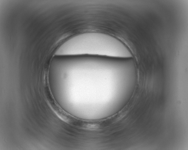X0000082940157200702011121