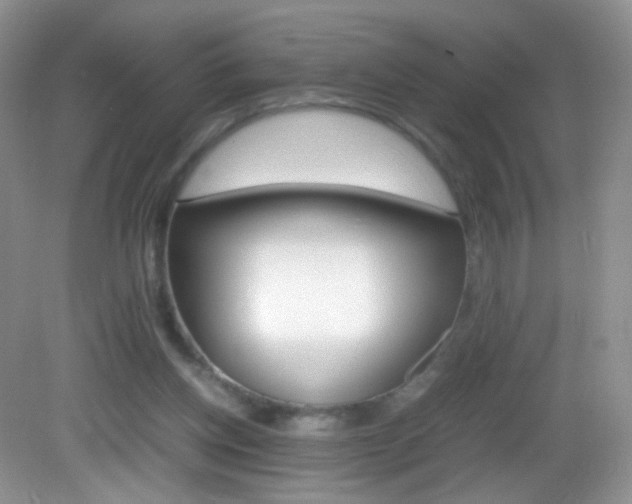 X0000082940158200702011121