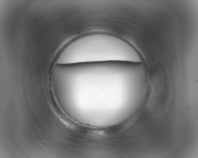 X0000082940159200702011121