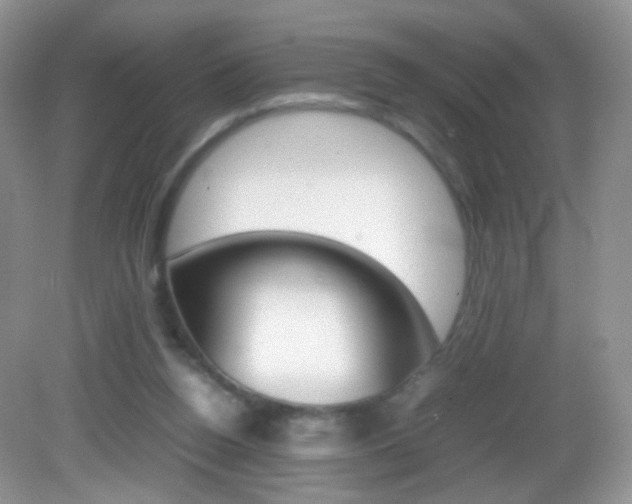 X0000082940160200702011121