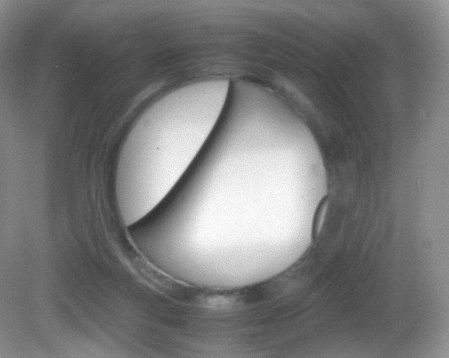 X0000082940163200702011121