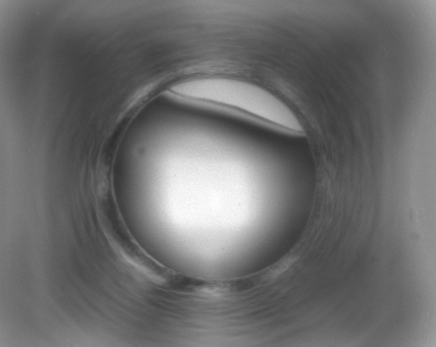 X0000082940164200702011121