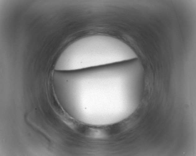 X0000082940167200702011121