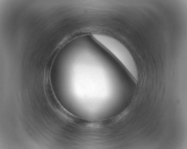 X0000082940168200702011121