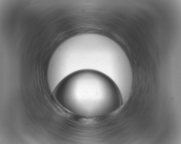 X0000082940170200702011121