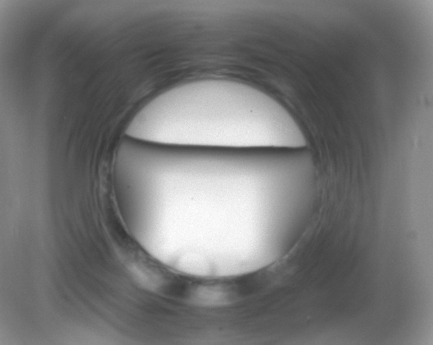 X0000082940171200702011121