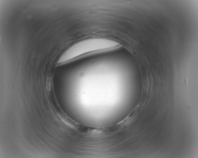 X0000082940180200702011121