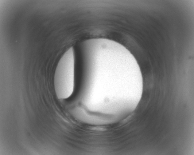 X0000082940183200702011121