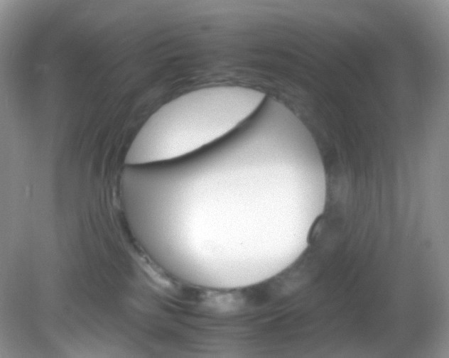 X0000082940185200702011121