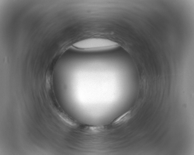 X0000082940188200702011121