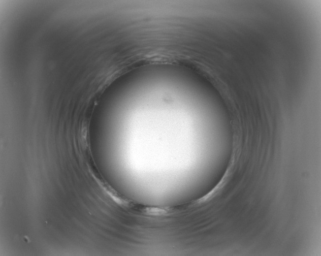 X0000082940192200702011121