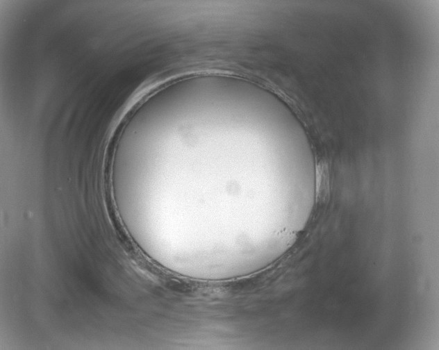 X0000082940195200702011121