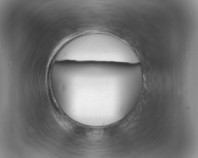 X0000082940196200702011121