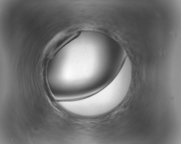 X0000082940197200702011121
