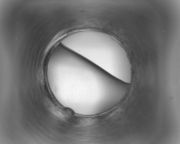 X0000082940198200702011121