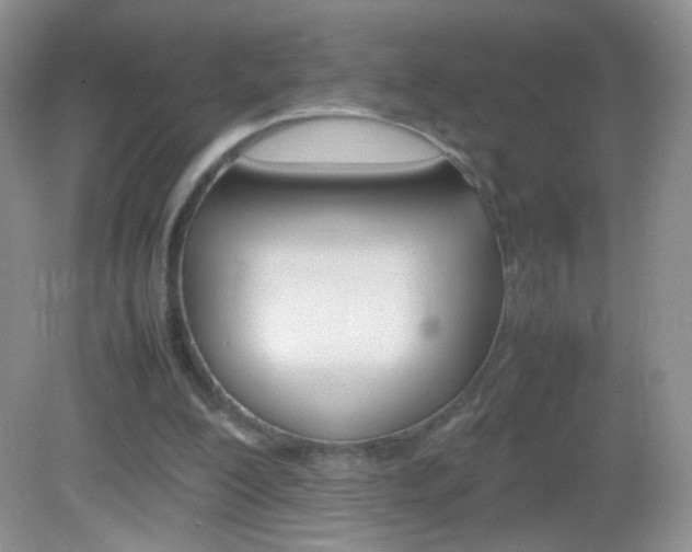 X0000082940200200702011121