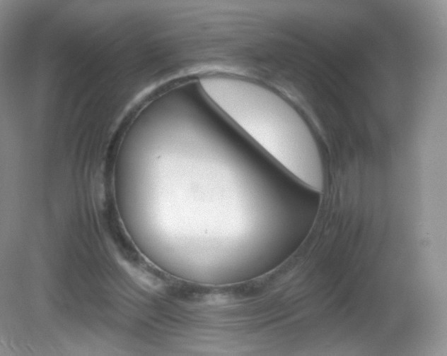 X0000082940204200702011120