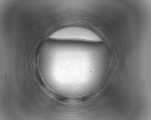 X0000082940209200702011120
