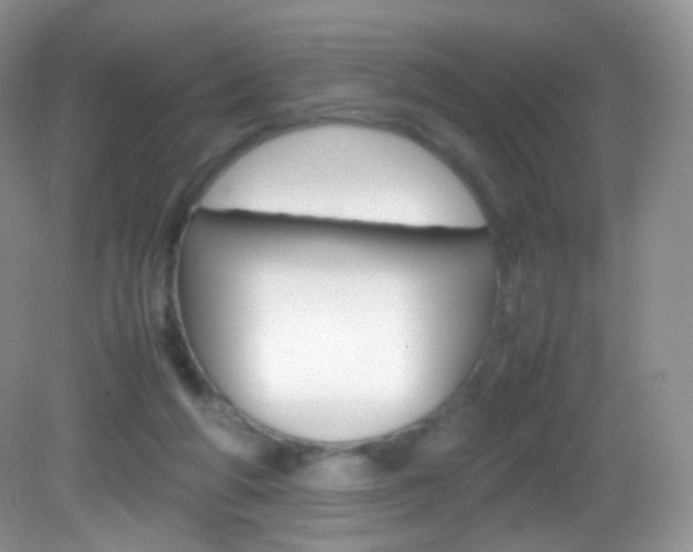 X0000082940210200702011120