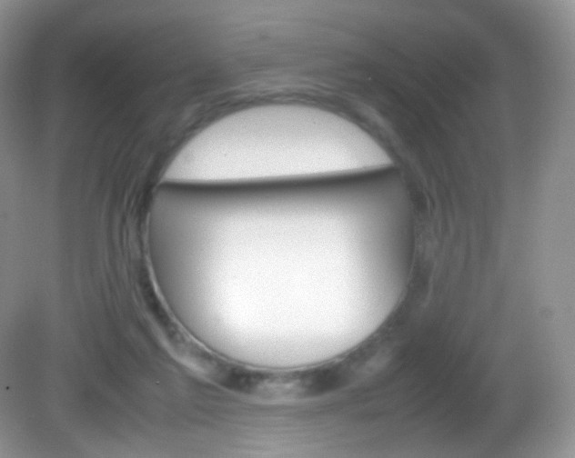 X0000082940213200702011120