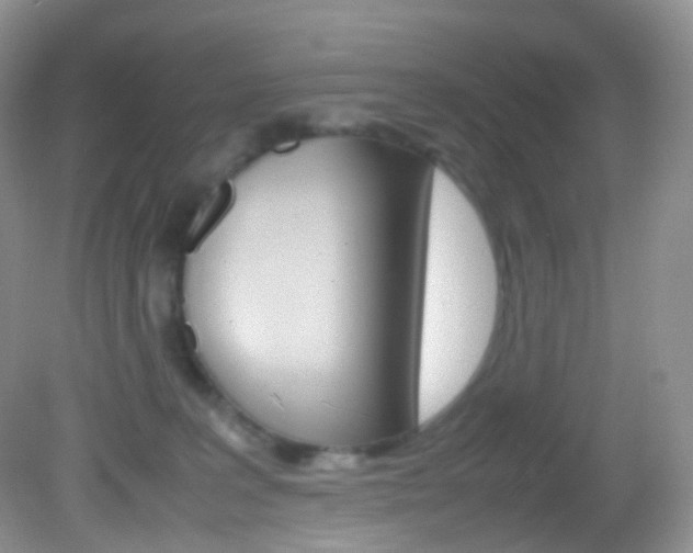 X0000082940227200702011120