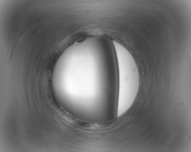 X0000082940229200702011120