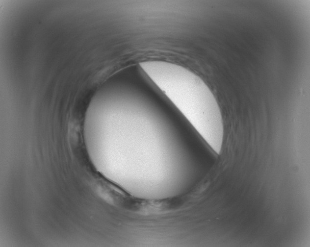X0000082940235200702011120