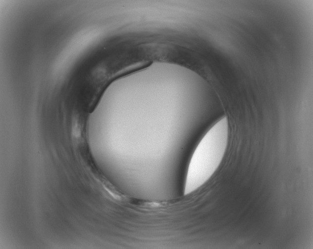 X0000082940239200702011120