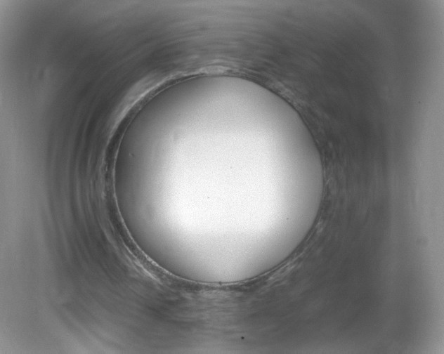 X0000082940242200702011119