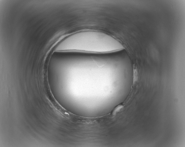 X0000082940243200702011119