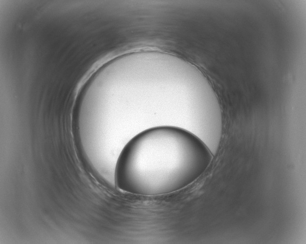 X0000082940244200702011119