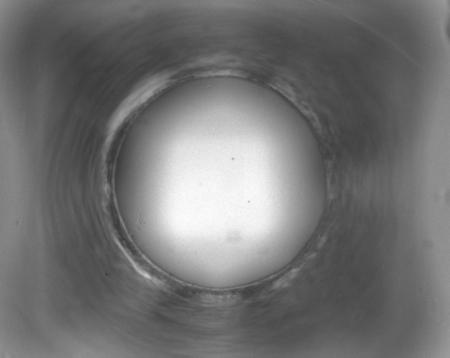 X0000082940245200702011119