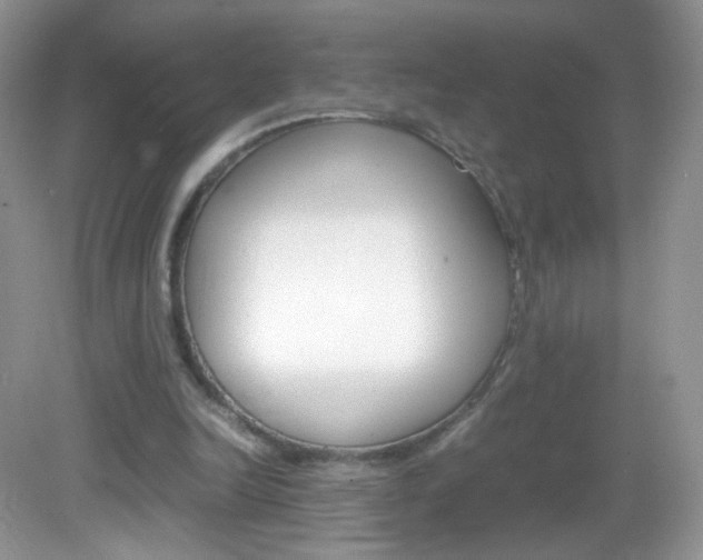 X0000082940246200702011119
