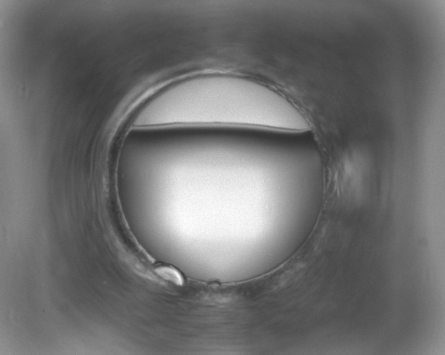 X0000082940247200702011119