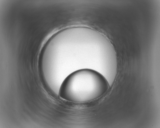 X0000082940248200702011119