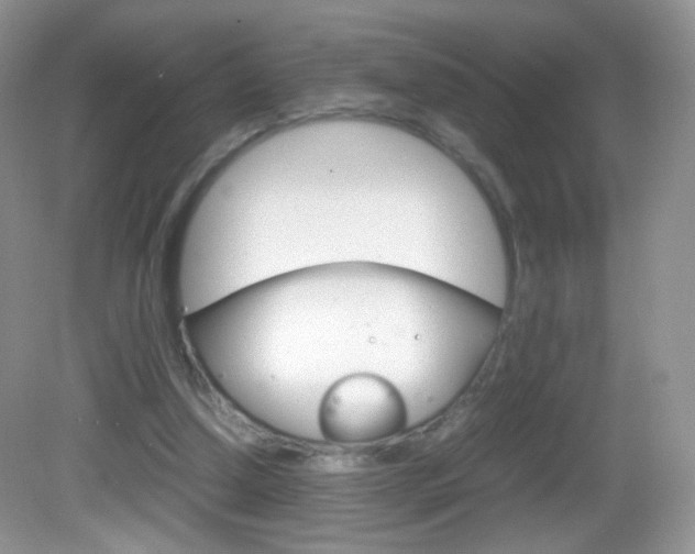 X0000082940250200702011119