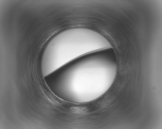 X0000082940251200702011119