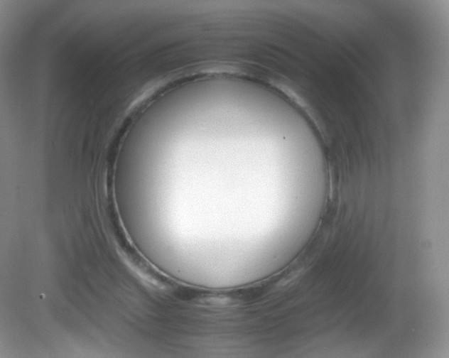 X0000082940253200702011119