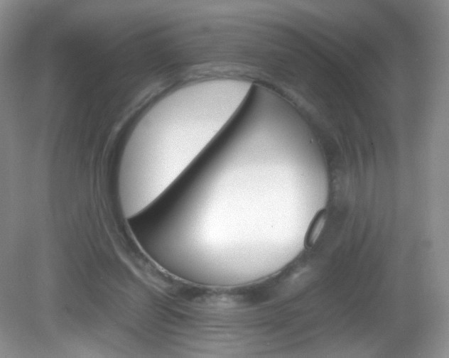 X0000082940254200702011119